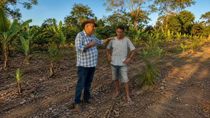 Valorizar a agricultura familiar é reconhecer quem, todos os dias, produz alimento, gera renda e fortalece Rondônia