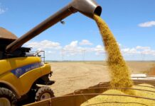 Crédito do BNDES para o agro de Rondônia cresce e chega a R$ 337,2 milhões