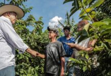Quando um menino sonha em ser produtor de café: o futuro da cafeicultura floresce em Rondônia O futuro da cafeicultura começa quando uma criança sonha em permanecer no campo