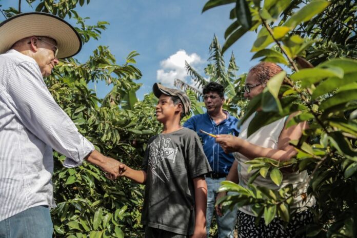 O futuro da cafeicultura começa quando uma criança sonha em permanecer no campo