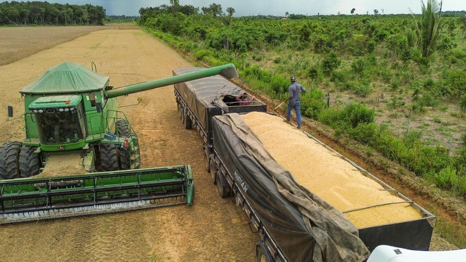 Produção e investimento: a colheita representa o resultado do trabalho no campo, mas a atividade rural também exige regularidade documental e ambiental para avançar.