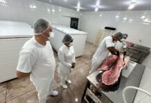 Médicos veterinários do SIM reforçam a segurança dos alimentos em Porto Velho