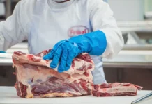 Abate de fêmeas cai 30,8% em agosto, aponta Safras & Mercado