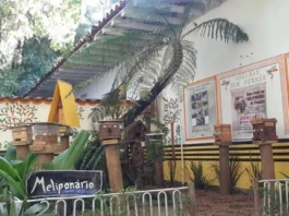 Polinização por abelhas pode gerar R$ 4,2 bilhões por ano
