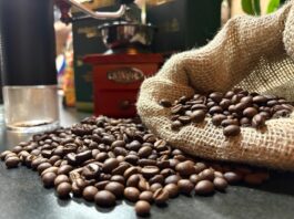 Rondônia tem 13 das 20 finalistas em concurso nacional de café